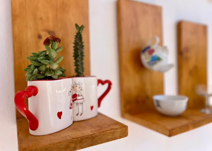 Ilusionate 马斯帕洛马斯